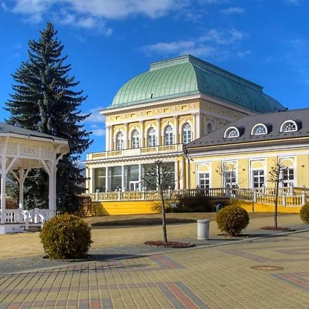 Penzion U Modrého Slona Františkovy Lázně Esterno foto