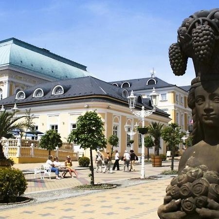 Penzion U Modrého Slona Františkovy Lázně Esterno foto