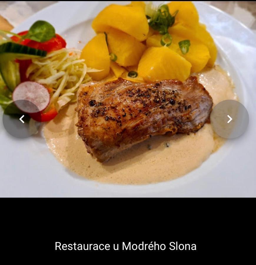 Penzion U Modrého Slona Františkovy Lázně Esterno foto