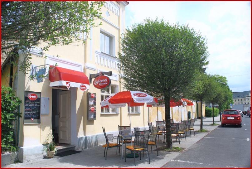 Penzion U Modrého Slona Františkovy Lázně Esterno foto
